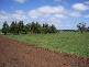 GORAE ROAD, Portland VIC 3305