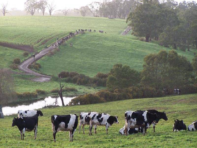 CONDAH / TYRENDARRA ROAD, Heywood VIC 3304