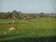 CONDAH / TYRENDARRA ROAD, Heywood VIC 3304