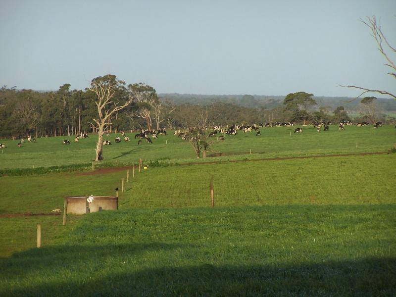 CONDAH / TYRENDARRA ROAD, Heywood VIC 3304