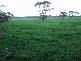CONDAH / TYRENDARRA ROAD, Heywood VIC 3304
