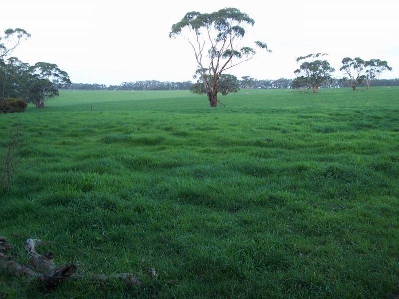 CONDAH / TYRENDARRA ROAD, Heywood VIC 3304