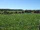 175 MARTYN’S LANE, Inverloch VIC 3996