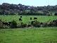 175 MARTYN’S LANE, Inverloch VIC 3996