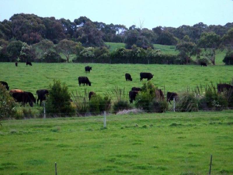 175 MARTYN’S LANE, Inverloch VIC 3996