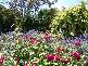 * GLENTHOMPSON * VIA, Hamilton VIC 3300