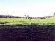 PORTLAND – CASTERTON ROAD, Heywood VIC 3304