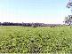 PORTLAND – CASTERTON ROAD, Heywood VIC 3304