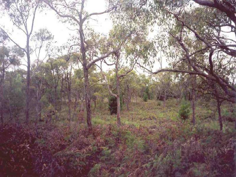 425 PATCHINGS ROAD, Lake Mundi VIC 3312