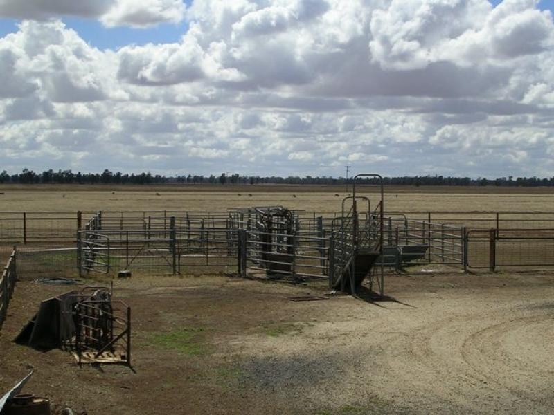 Oaklands NSW 2646