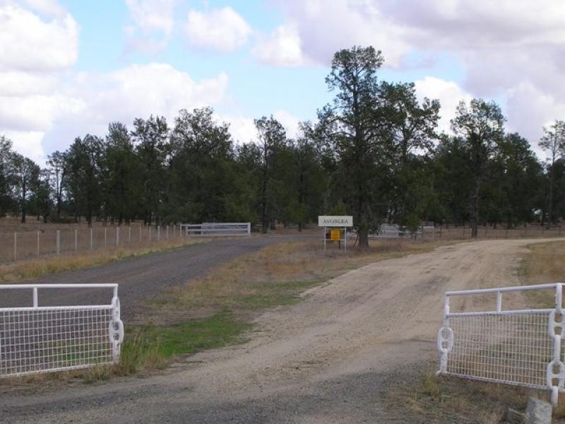 Oaklands NSW 2646