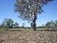 LOT 30C/ RED GUM RD, Briagolong VIC 3860