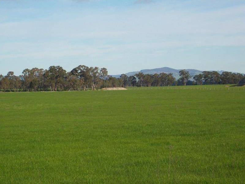 130 PLOZZA ROAD, Violet Town VIC 3669