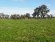 130 PLOZZA ROAD, Violet Town VIC 3669