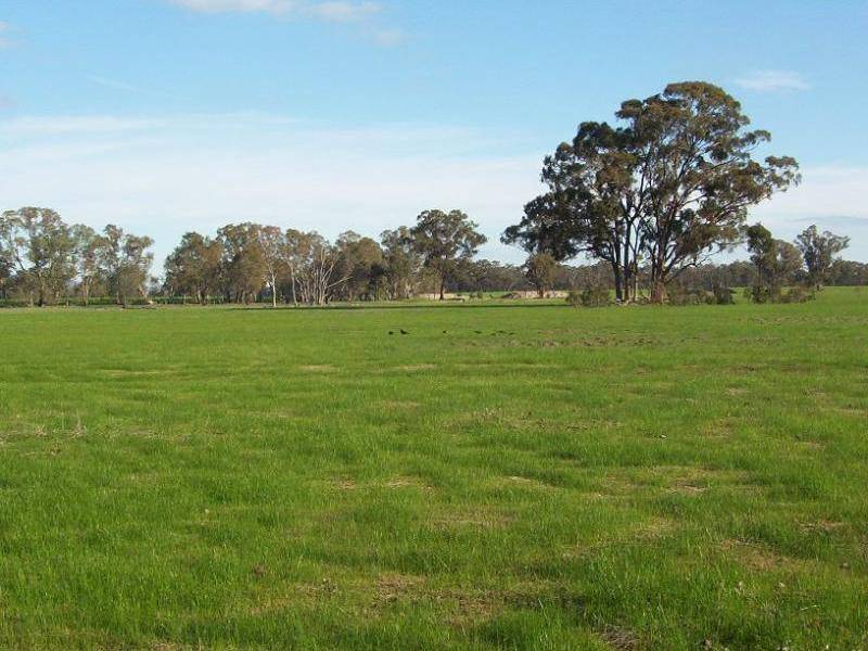 130 PLOZZA ROAD, Violet Town VIC 3669