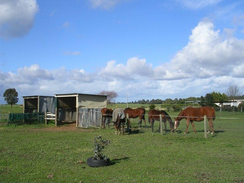 116 LUCKNOW STREET, Bairnsdale VIC 3875