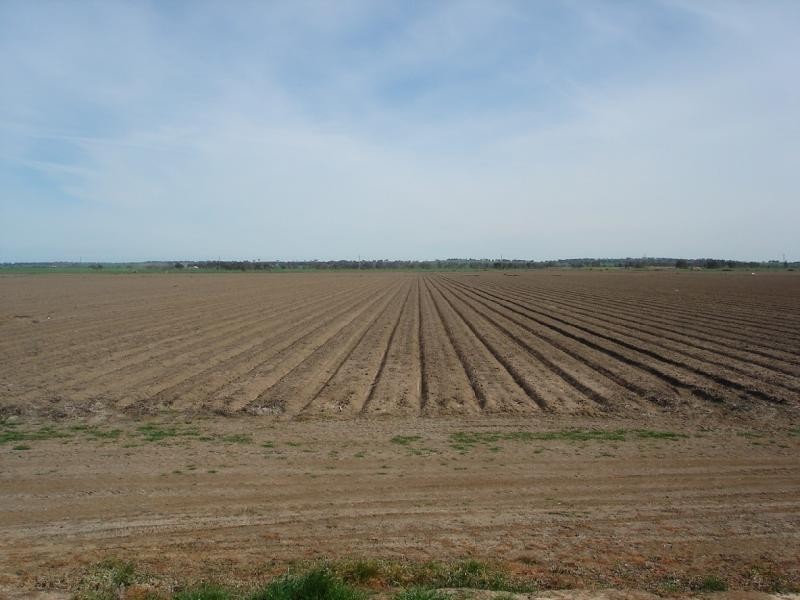 1595 WINTER ROAD, Girgarre VIC 3624