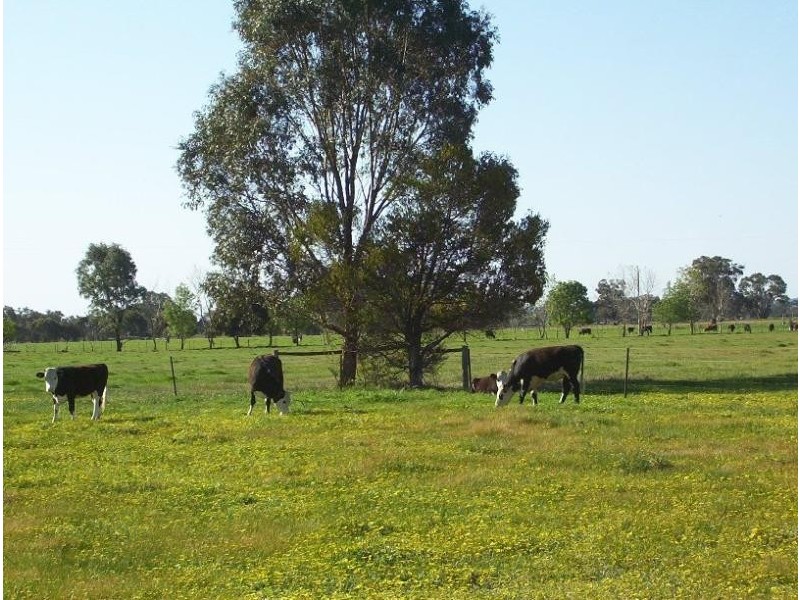 196 HUNTER ROAD, Benalla VIC 3672