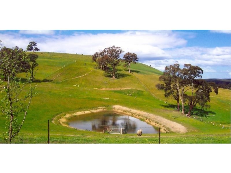 177 Nevens Road, Yandoit Hills VIC 3461