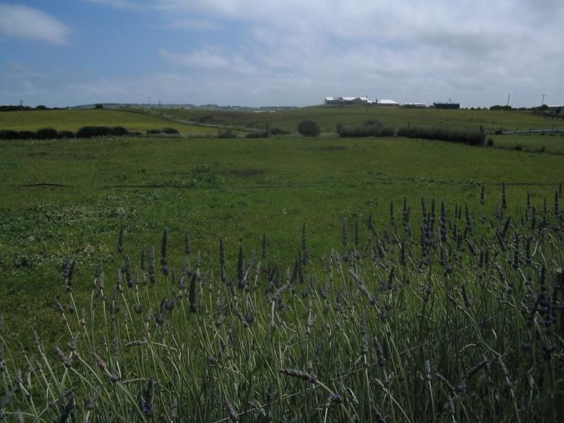229 Illowa Road, Warrnambool VIC 3280