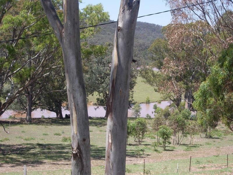 9 IBIS CRT, Glenmaggie VIC 3858