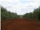 Jerilderie NSW 2716