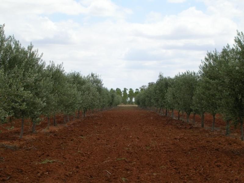 Jerilderie NSW 2716