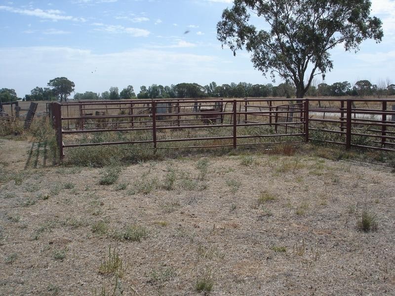 847 Matheson Road, Kyabram VIC 3620