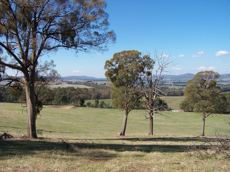 1 CARPENTERS LANE, Strathbogie VIC 3666
