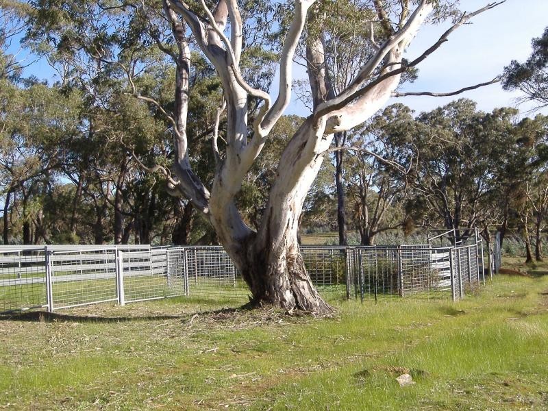 195 Woodacres Road, Chetwynd VIC 3312