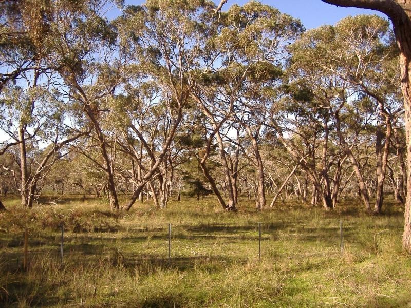 195 Woodacres Road, Chetwynd VIC 3312