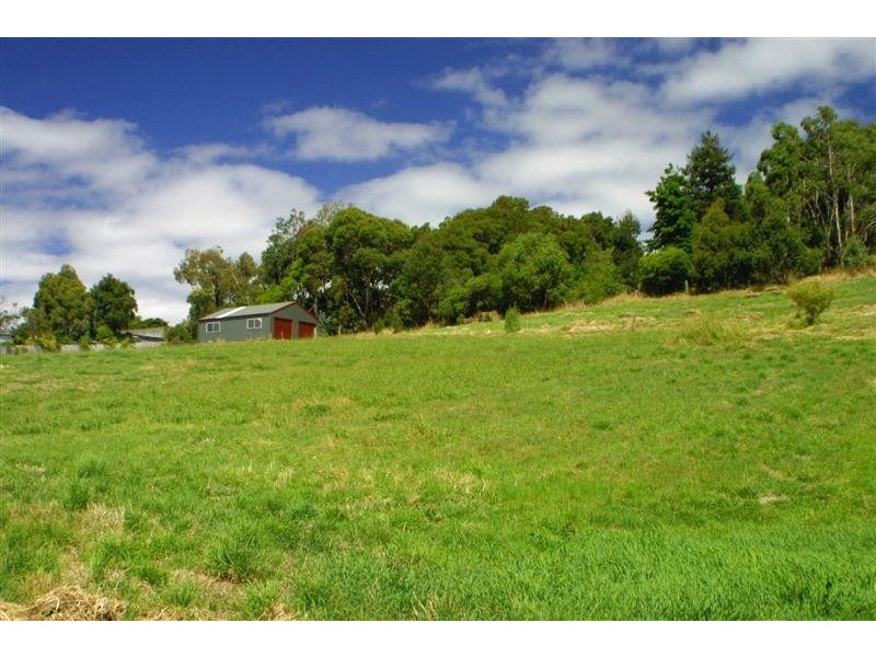 19 WELSFORD STREET, Meeniyan VIC 3956
