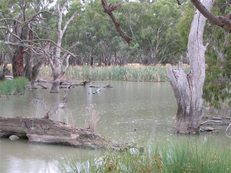 Jerilderie NSW 2716