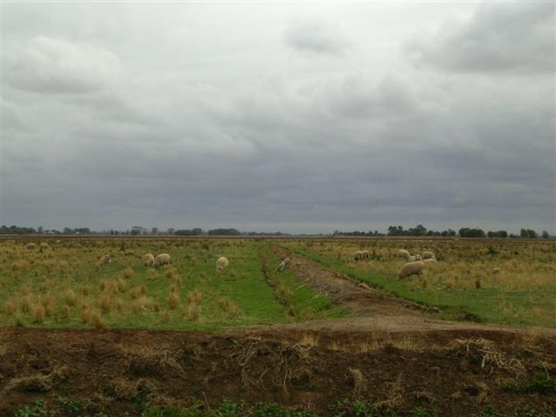 Jerilderie NSW 2716