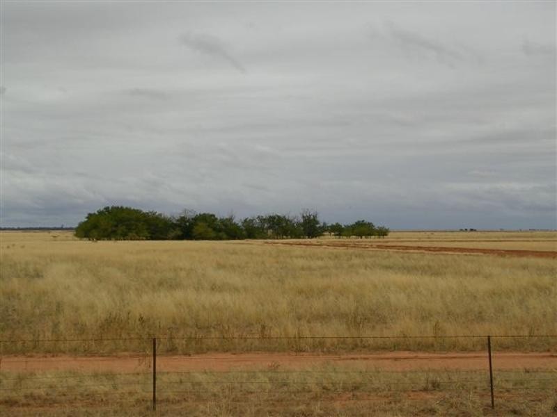 Jerilderie NSW 2716