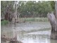Jerilderie NSW 2716