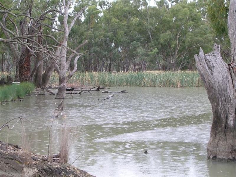Jerilderie NSW 2716