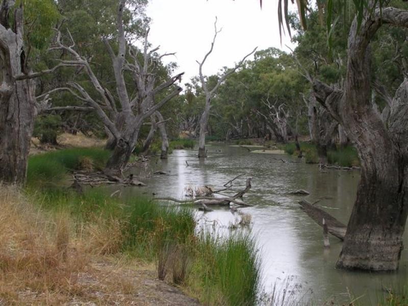 Jerilderie NSW 2716