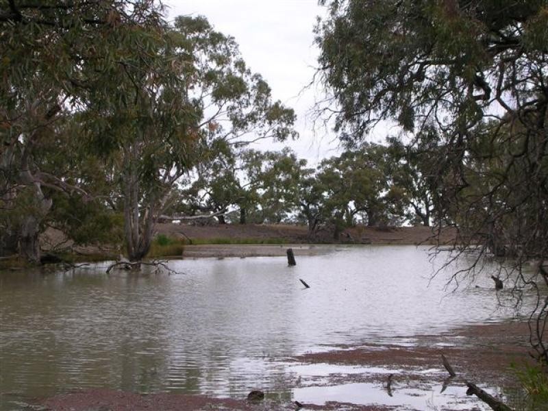 . JERILDERIE DENILIQUIN ROAD, Conargo NSW 2710