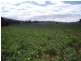 3054 Pyrenees Hwy, Elmhurst VIC 3469