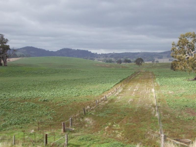 3054 Pyrenees Hwy, Elmhurst VIC 3469