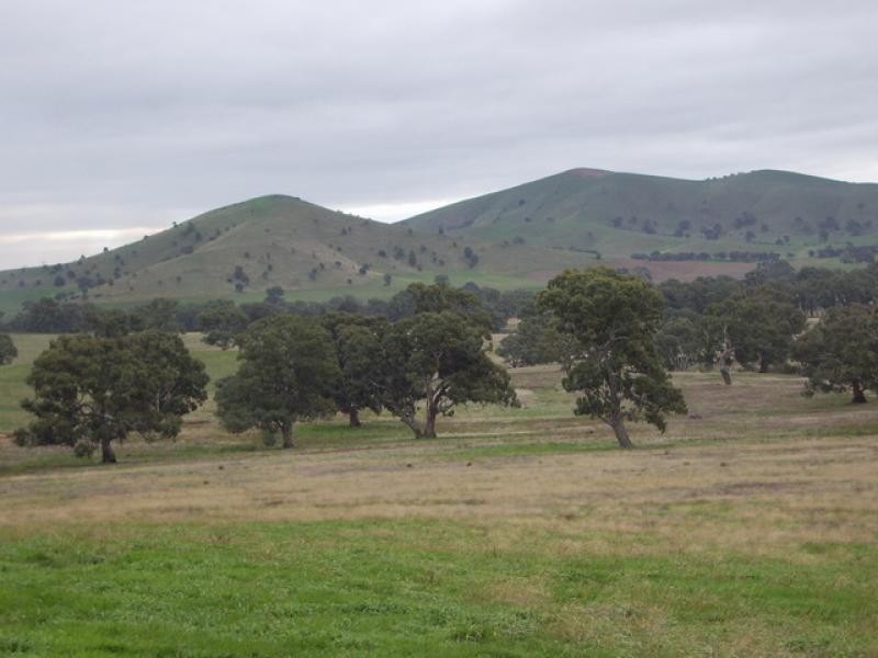 3054 Pyrenees Hwy, Elmhurst VIC 3469