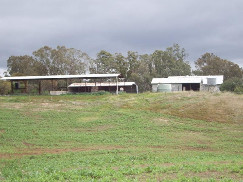 3054 Pyrenees Hwy, Elmhurst VIC 3469
