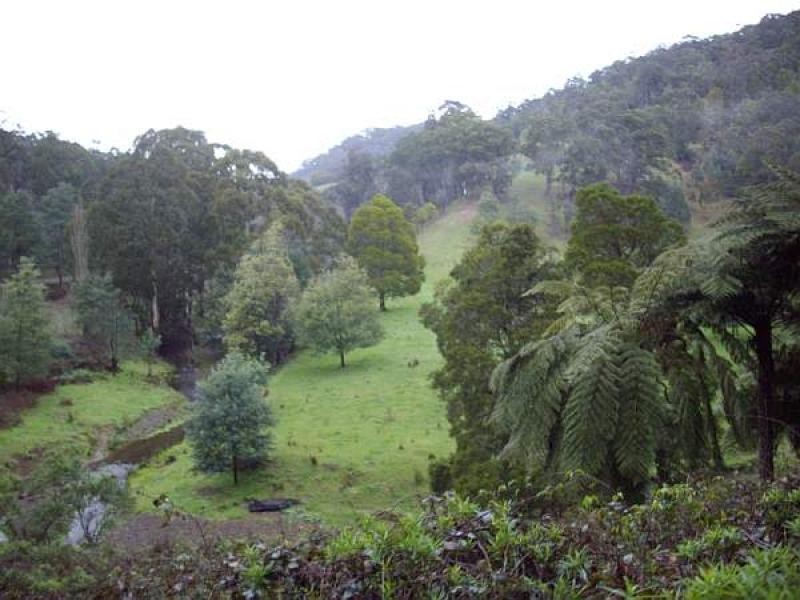 TRARALGON CREEK RD, Koornalla VIC 3844
