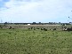 WOOLSTHORPE HEYWOOD ROAD, Willatook VIC 3283