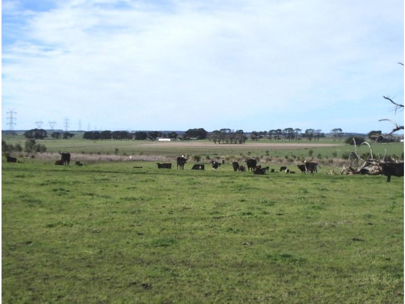 WOOLSTHORPE HEYWOOD ROAD, Willatook VIC 3283