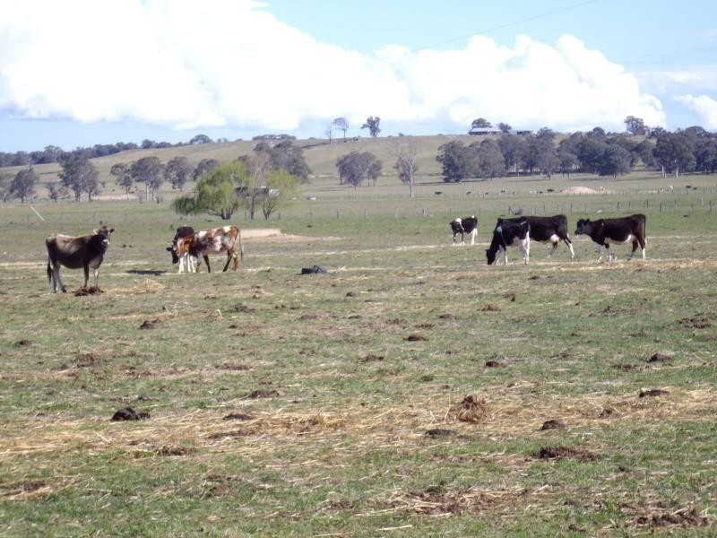 BACK BOISDALE ROAD, Boisdale VIC 3860