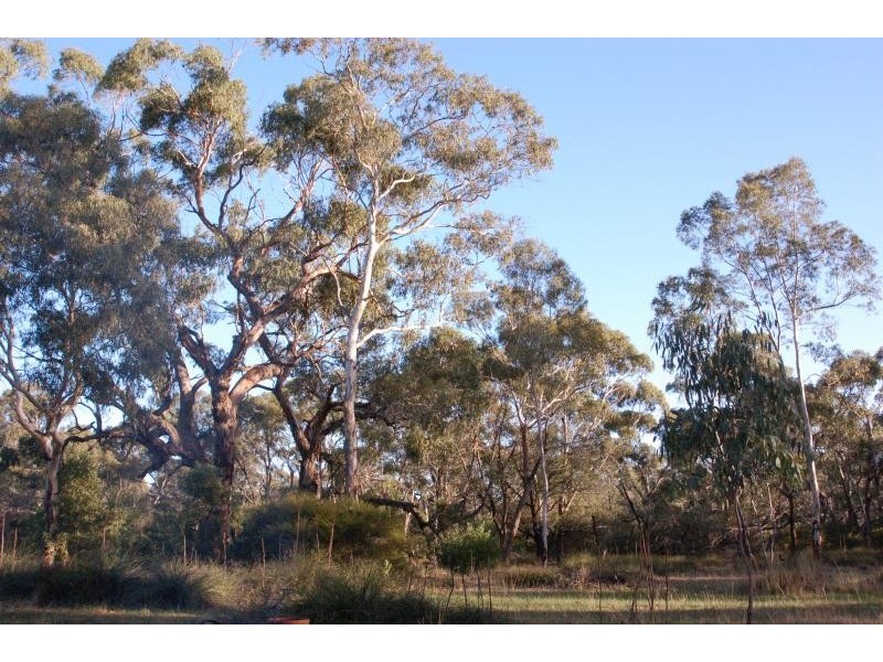 0 REEDS RD, Bochara VIC 3301