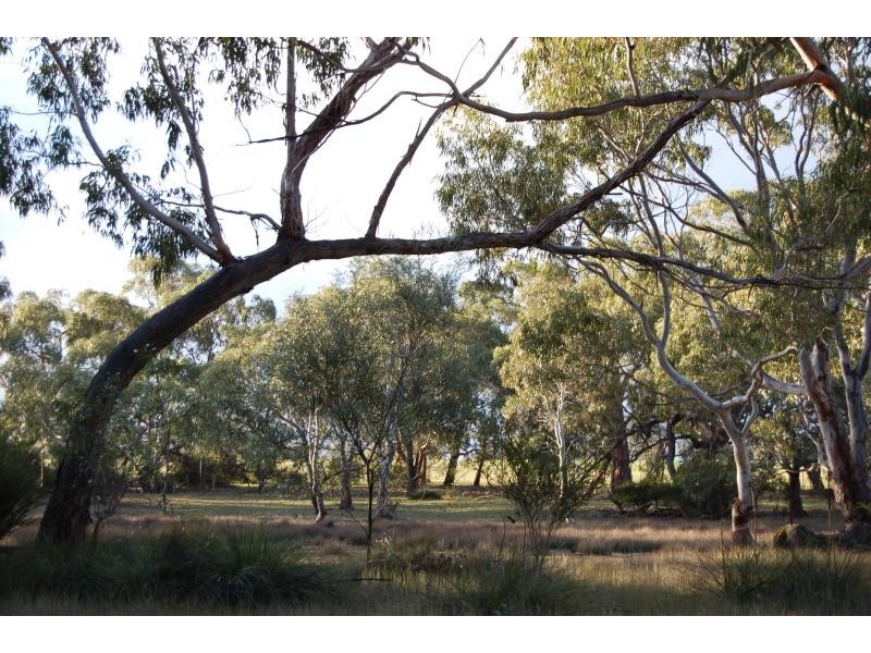 0 REEDS RD, Bochara VIC 3301