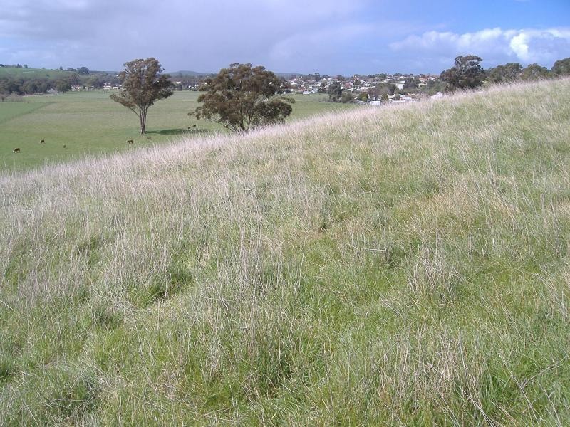 50 Mitchell Street, Casterton VIC 3311